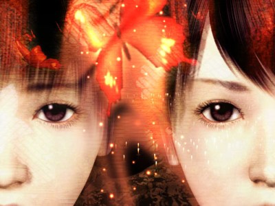 Joyitas PS2: Fatal Frame II: Crimson&nbsp;Butterfly